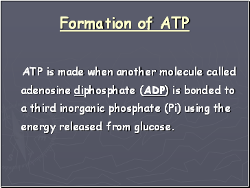 Formation of ATP