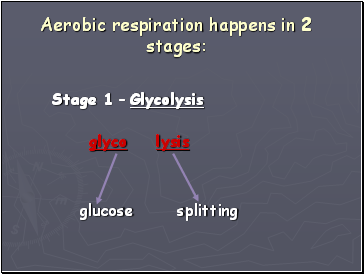 Aerobic respiration happens in 2 stages:
