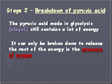 Stage 2  Breakdown of pyruvic acid