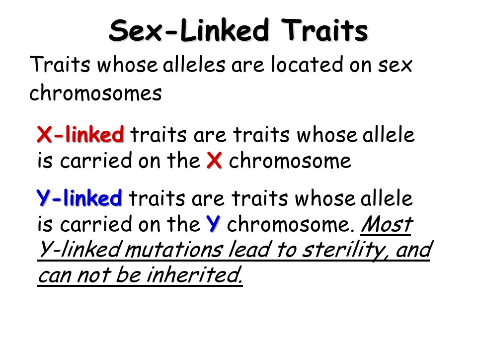 Whatis a sex linked trait