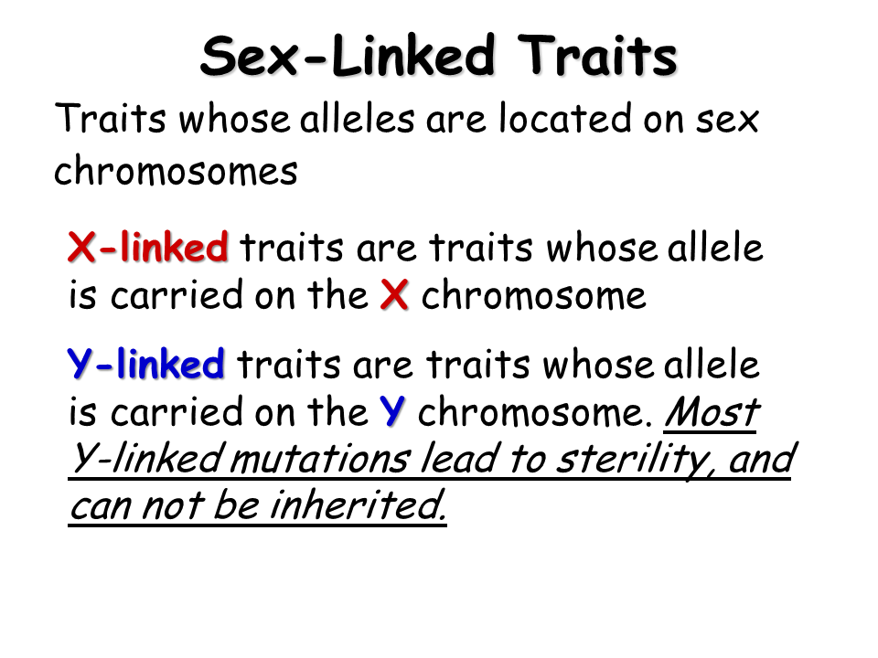 List Of Sex Linked Traits 44