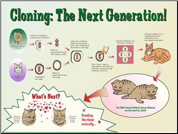 Cloning: An Example