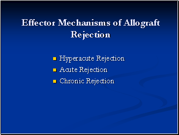 Effector Mechanisms of Allograft Rejection