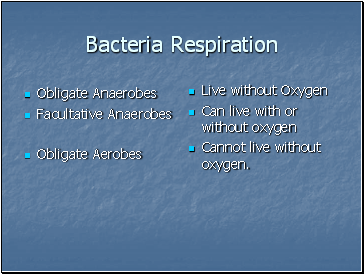 Bacteria Respiration