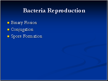 Bacteria Reproduction