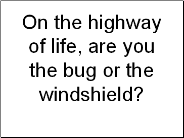 Bug on windshield- Newtons laws applied