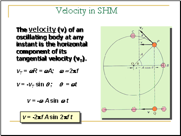 Velocity in SHM
