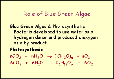 Role of Blue Green Algae