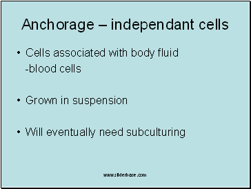 Anchorage  independant cells