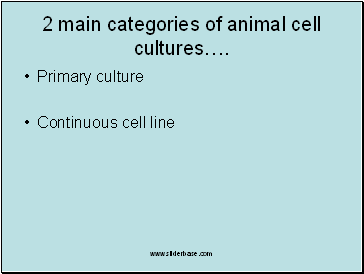 2 main categories of animal cell cultures.
