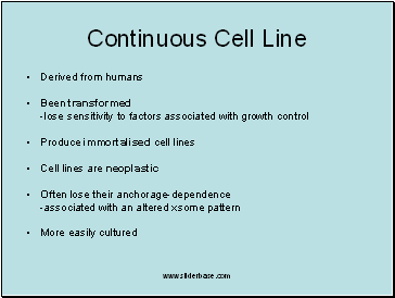 Continuous Cell Line