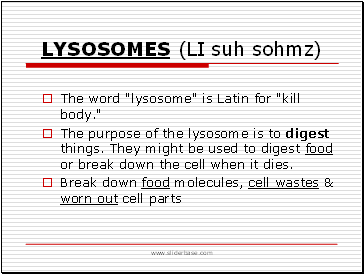 Lysosomes (Li Suh Sohmz)