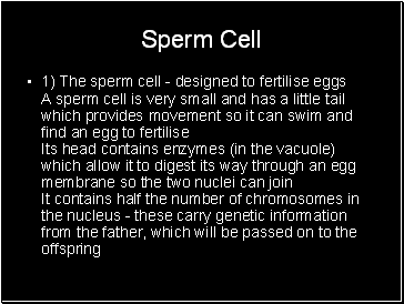 Sperm Cell