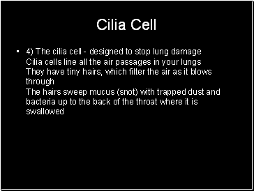 Cilia Cell