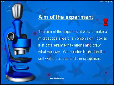 Aim of the experiment