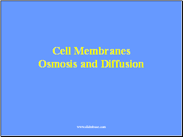 Cell Membranes Osmosis and Diffusion