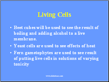 Living Cells