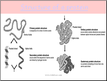 Structure of a protein