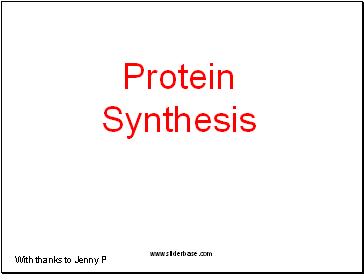 Protein synthesis (simplified)