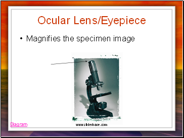 Ocular Lens/Eyepiece