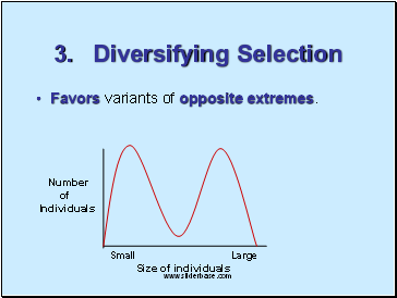3. Diversifying Selection