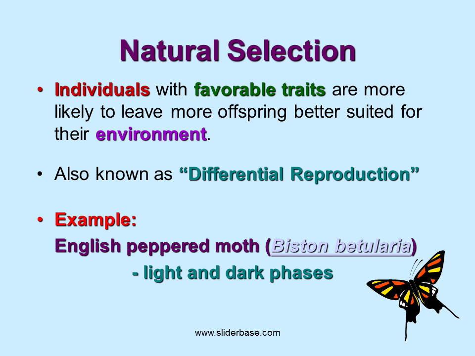 Definition natural selection Natural Selection: