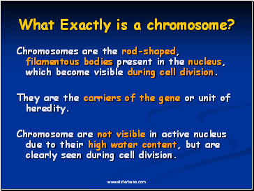 What Exactly is a chromosome?