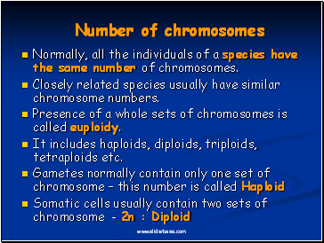 Number of chromosomes