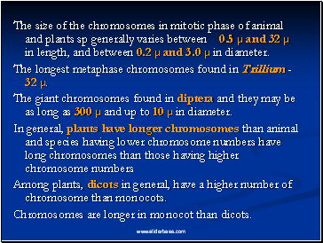 The size of the chromosomes in mitotic phase of animal and plants sp generally varies between 0.5  and 32  in length, and between 0.2  and 3.0  in diameter.