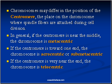 Chromosomes may differ in the position of the Centromere, the place on the chromosome where spindle fibers are attached during cell division.