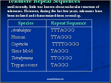 Telomere Repeat Sequences  until recently, little was known about molecular structure of telomeres. However, during the last few years, telomeres have been isolated and characterized from several sp.
