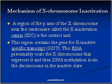 Mechanism of X-chromosome Inactivation
