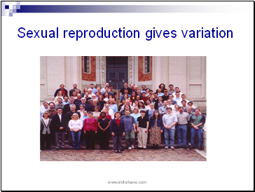 Sexual reproduction gives variation