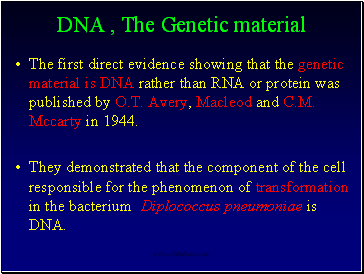 DNA ,
