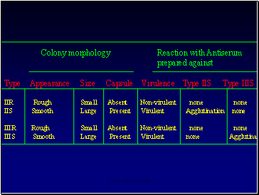 Colony morphology Reaction with Antiserum