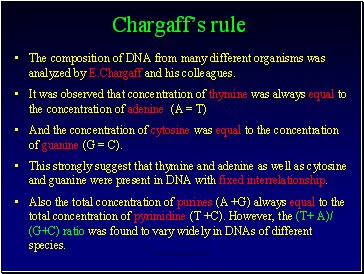 Chargaffs rule