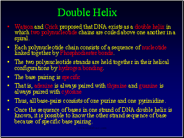 Double Helix