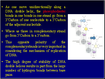 As one move unidirectionally along a DNA double helix, the phosophodiester bonds in one bonds in one strand go from a 3Carbon of one nucleotide to a 5Carbon of the adjacent nucleotide.