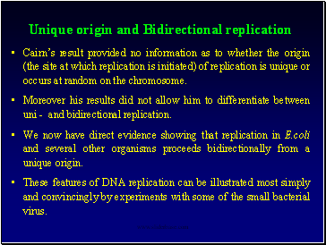 Unique origin and Bidirectional replication