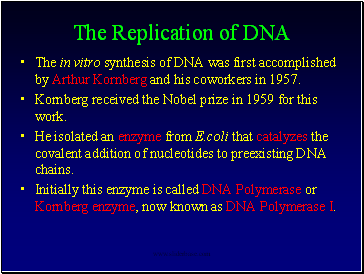 The Replication of DNA