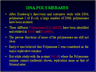 Dna Polymerases