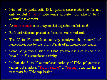 Most of the prokaryotic DNA polymerases studied so far not only exhibit 5 to 3 polymerase activity , but also 3 to 5 exonuclease activity.