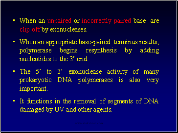 When an unpaired or incorrectly paired base are clip off by exonucleases.