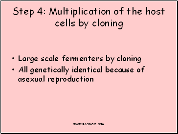 Step 4: Multiplication of the host cells by cloning
