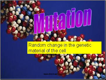 Mutation