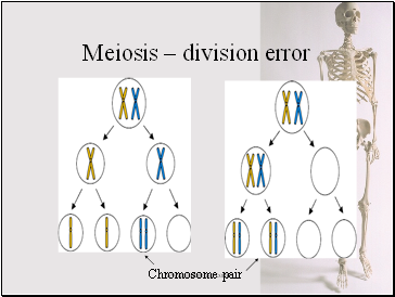 Meiosis  division error
