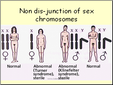 Non dis-junction of sex chromosomes