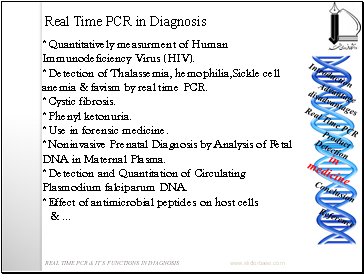 Real Time PCR in Diagnosis