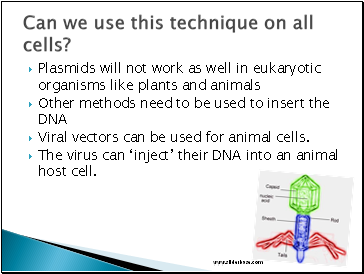 Plasmids will not work as well in eukaryotic organisms like plants and animals