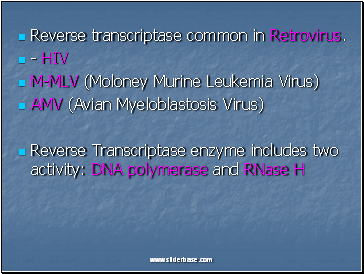 Reverse transcriptase common in Retrovirus.